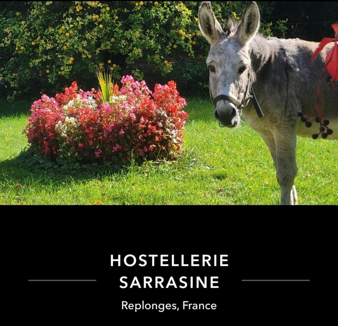 Hostellerie Sarrasine - Macon Est Replonges Εξωτερικό φωτογραφία