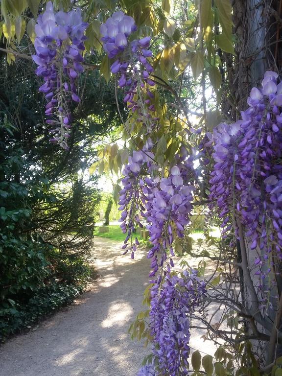 Hostellerie Sarrasine - Macon Est Replonges Εξωτερικό φωτογραφία