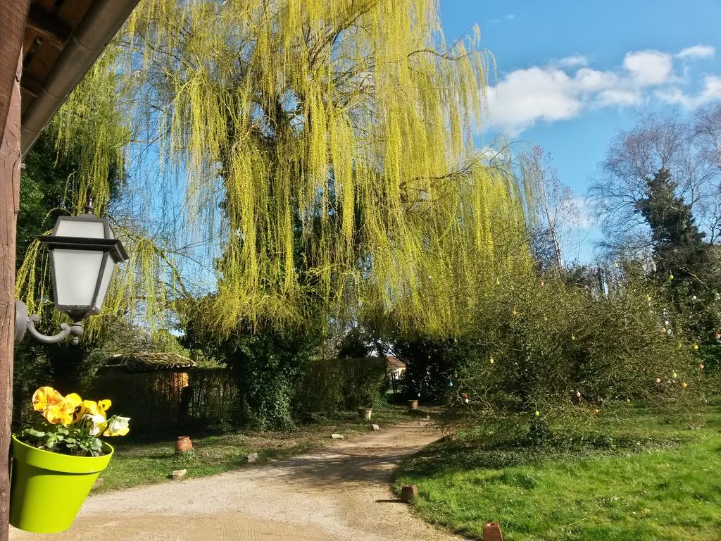 Hostellerie Sarrasine - Macon Est Replonges Εξωτερικό φωτογραφία